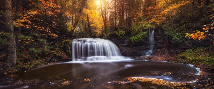 秋季养生食谱推荐